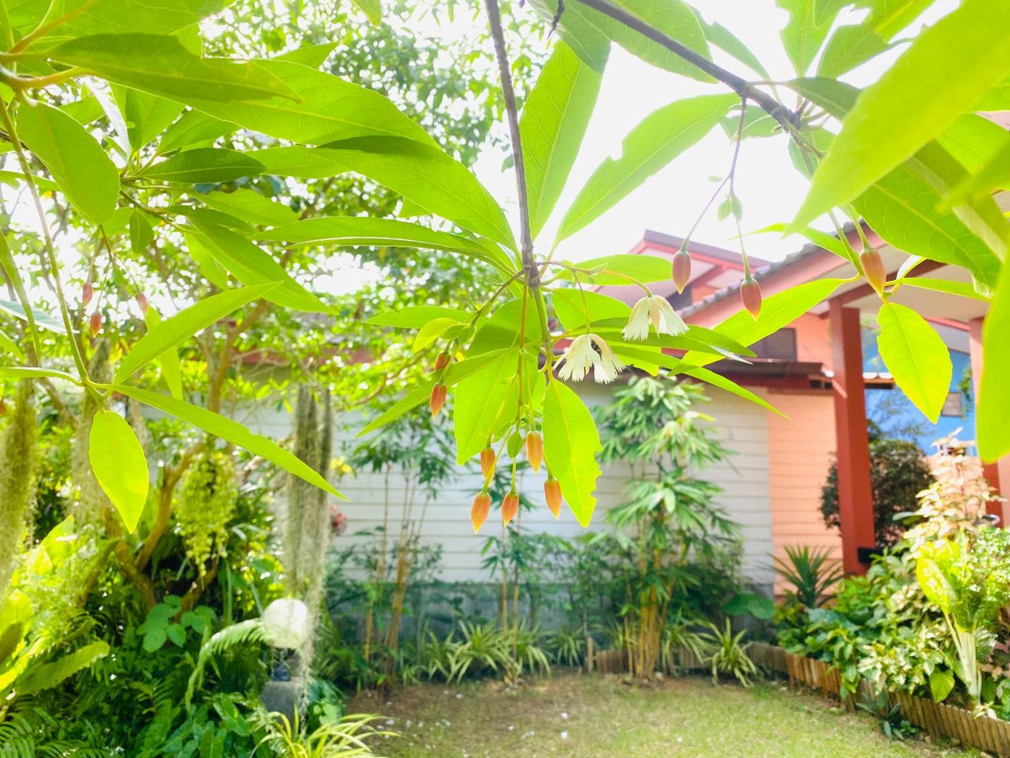 Ostello Baan Longhaad Ko Lanta Esterno foto
